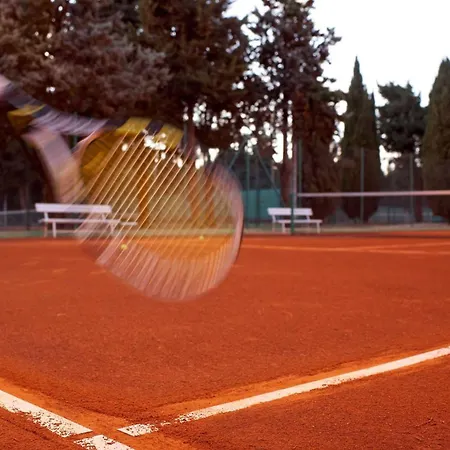 Park Plaza Verudela 4*