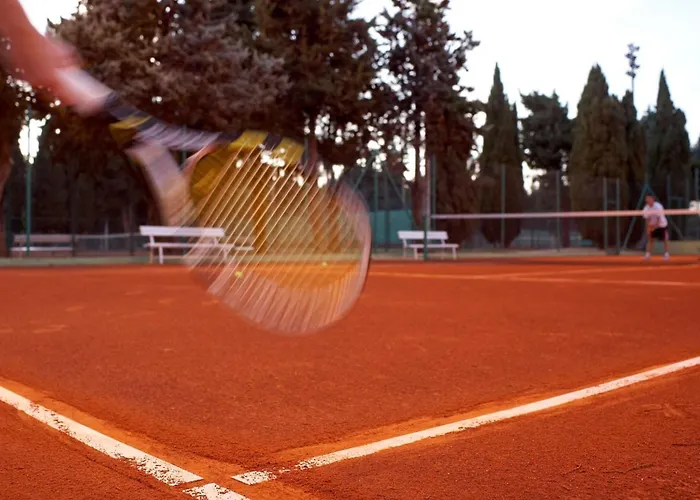 Park Plaza Verudela 4*